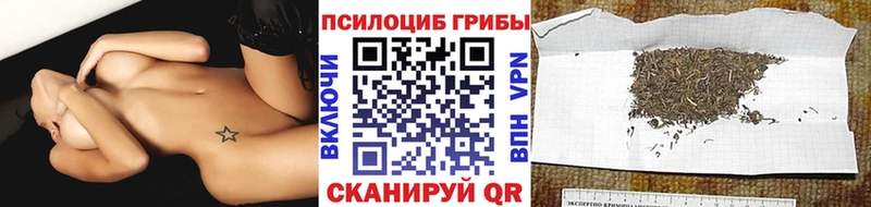 Псилоцибиновые грибы Psilocybe  Козловка 